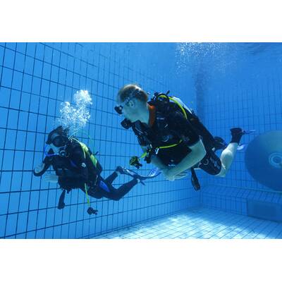 Prinz William macht unter Wasser eine gute Figur