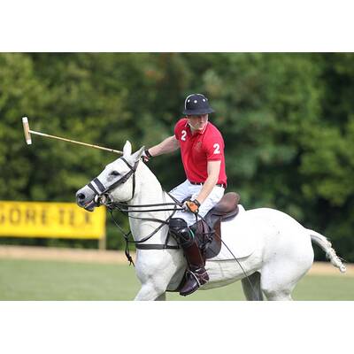 Prinz Harry führt sein Polo-Team zum Sieg