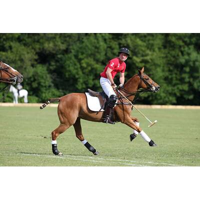 Prinz Harry führt sein Polo-Team zum Sieg