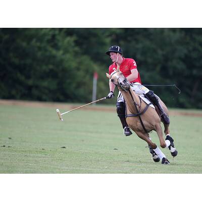 Prinz Harry führt sein Polo-Team zum Sieg