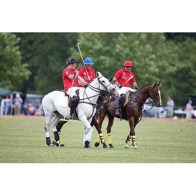 Prinz Harry führt sein Polo-Team zum Sieg