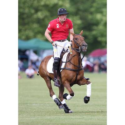Prinz Harry führt sein Polo-Team zum Sieg