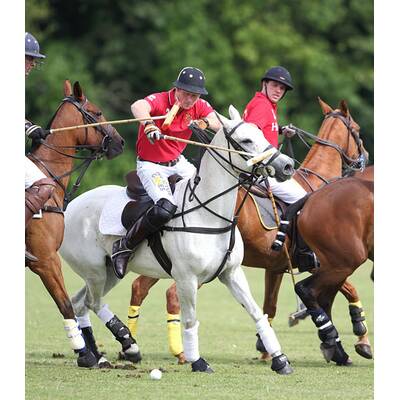 Prinz Harry führt sein Polo-Team zum Sieg