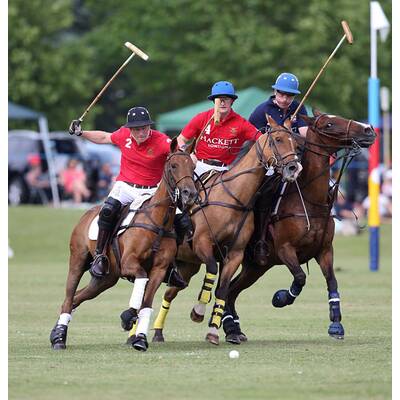 Prinz Harry führt sein Polo-Team zum Sieg