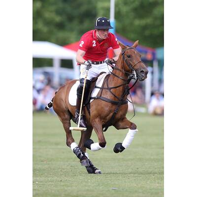 Prinz Harry führt sein Polo-Team zum Sieg