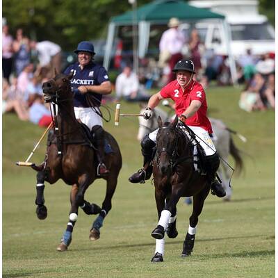 Prinz Harry führt sein Polo-Team zum Sieg