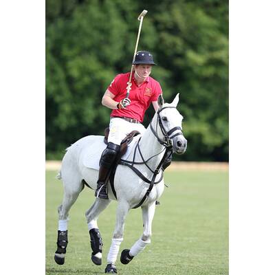 Prinz Harry führt sein Polo-Team zum Sieg