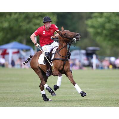 Prinz Harry führt sein Polo-Team zum Sieg