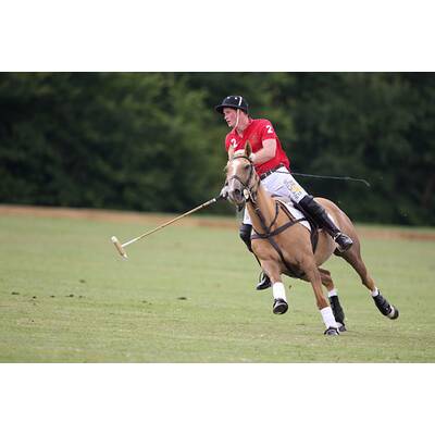 Prinz Harry führt sein Polo-Team zum Sieg