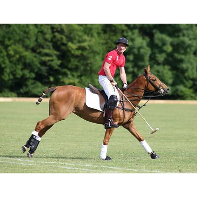 Prinz Harry führt sein Polo-Team zum Sieg