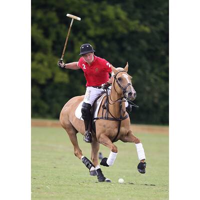 Prinz Harry führt sein Polo-Team zum Sieg