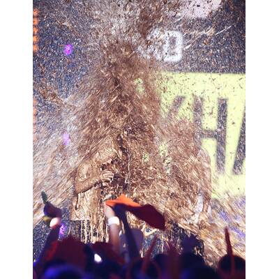 David Beckham & Söhne bei Nickelodeon Kids' Choice Awards