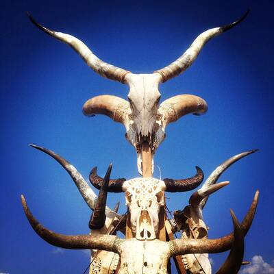 Wahnsinnsstimmung am Wacken Open Air 2014