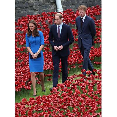 Herzogin Kate & Prinz William pflanzen Mohnblume