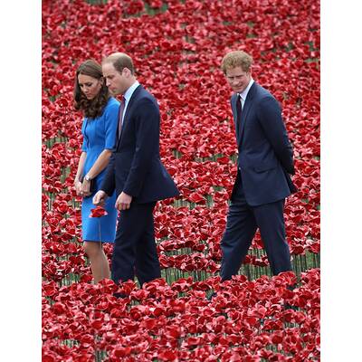 Herzogin Kate & Prinz William pflanzen Mohnblume