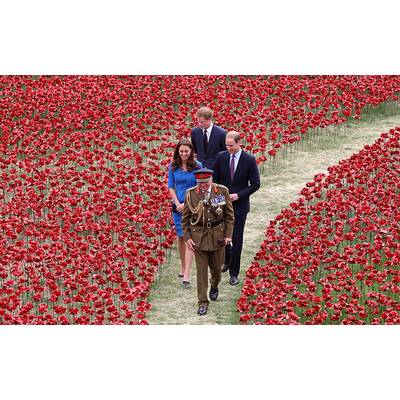 Herzogin Kate & Prinz William pflanzen Mohnblume