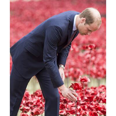 Herzogin Kate & Prinz William pflanzen Mohnblume