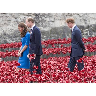 Herzogin Kate & Prinz William pflanzen Mohnblume