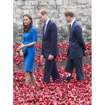 Herzogin Kate & Prinz William pflanzen Mohnblume