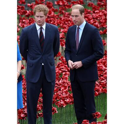 Herzogin Kate & Prinz William pflanzen Mohnblume