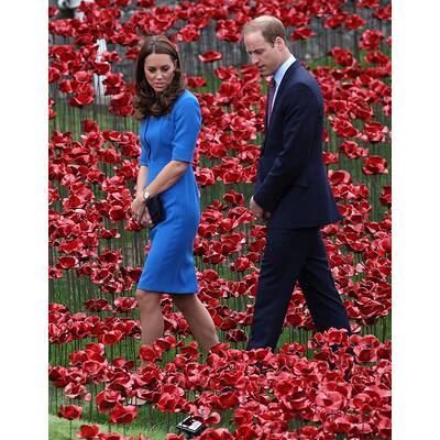 Herzogin Kate & Prinz William pflanzen Mohnblume