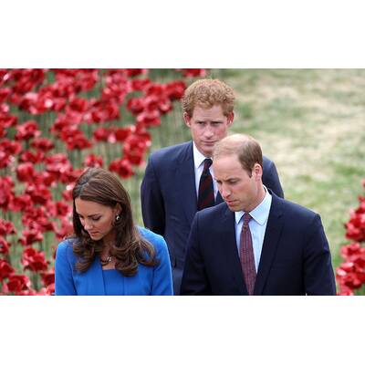 Herzogin Kate & Prinz William pflanzen Mohnblume