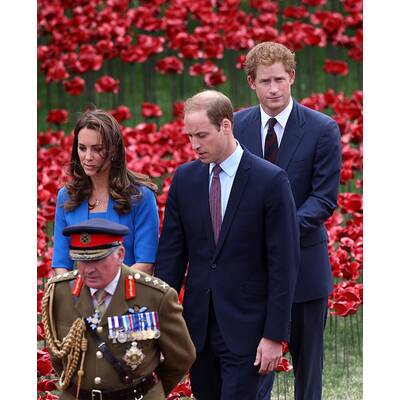 Herzogin Kate & Prinz William pflanzen Mohnblume