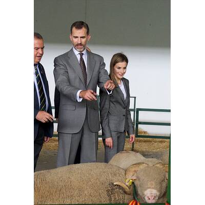 Königin Letizia & König Felipe: Auf Tuchfühlung mit Pferd & Co.