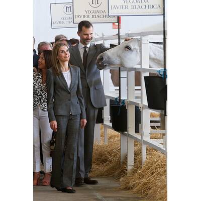 Königin Letizia & König Felipe: Auf Tuchfühlung mit Pferd & Co.