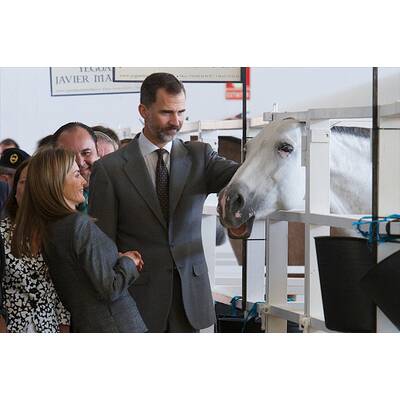 Königin Letizia & König Felipe: Auf Tuchfühlung mit Pferd & Co.