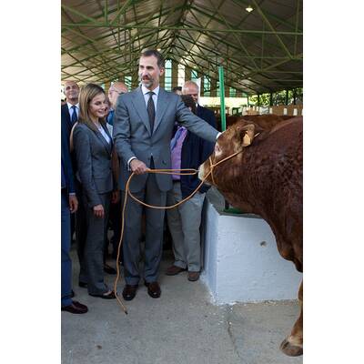 Königin Letizia & König Felipe: Auf Tuchfühlung mit Pferd & Co.