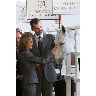 Königin Letizia & König Felipe: Auf Tuchfühlung mit Pferd & Co.