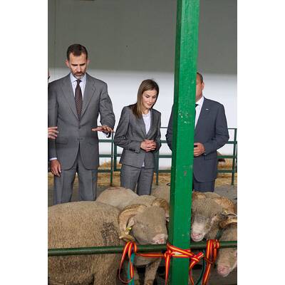 Königin Letizia & König Felipe: Auf Tuchfühlung mit Pferd & Co.