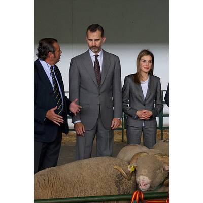 Königin Letizia & König Felipe: Auf Tuchfühlung mit Pferd & Co.
