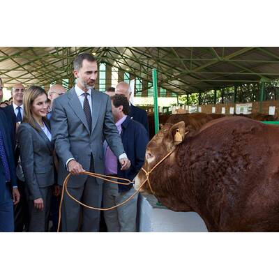 Königin Letizia & König Felipe: Auf Tuchfühlung mit Pferd & Co.