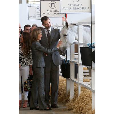 Königin Letizia & König Felipe: Auf Tuchfühlung mit Pferd & Co.