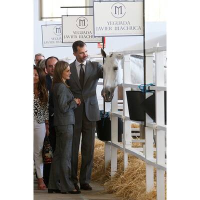 Königin Letizia & König Felipe: Auf Tuchfühlung mit Pferd & Co.