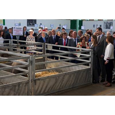 Königin Letizia & König Felipe: Auf Tuchfühlung mit Pferd & Co.