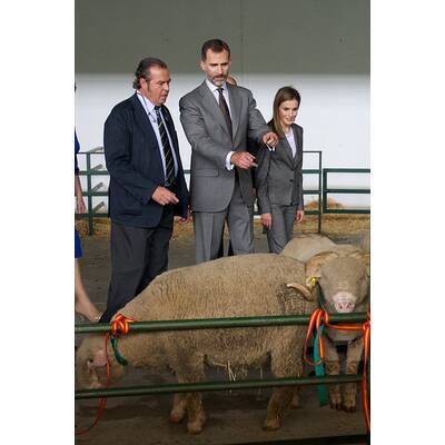 Königin Letizia & König Felipe: Auf Tuchfühlung mit Pferd & Co.