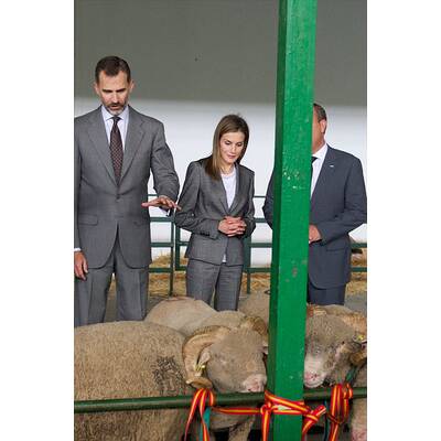 Königin Letizia & König Felipe: Auf Tuchfühlung mit Pferd & Co.