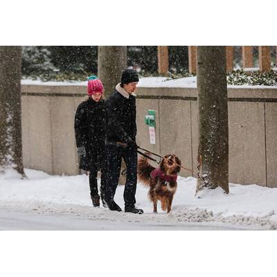Amanda Seyfried & Justin Long spazieren im Schnee