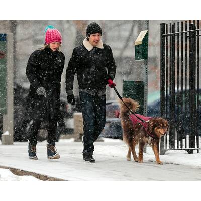 Amanda Seyfried & Justin Long spazieren im Schnee