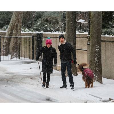 Amanda Seyfried & Justin Long spazieren im Schnee