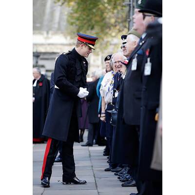 Prinz Harry ehrt gefallene Soldaten