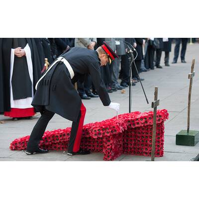 Prinz Harry ehrt gefallene Soldaten