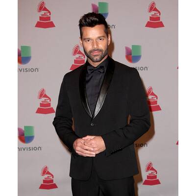 Die Stars bei den Latin Grammys 2014