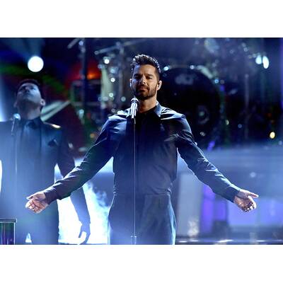Die Stars bei den Latin Grammys 2014