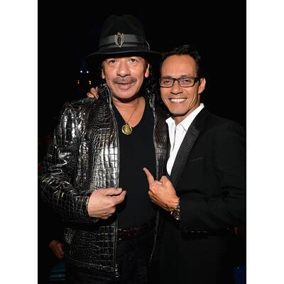 Die Stars bei den Latin Grammys 2014