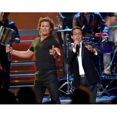 Die Stars bei den Latin Grammys 2014