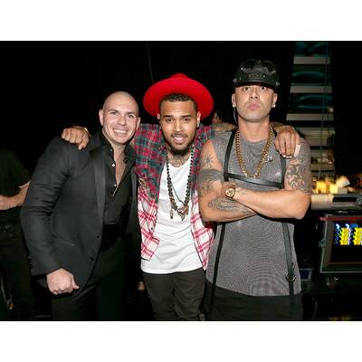 Die Stars bei den Latin Grammys 2014